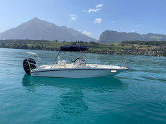 Boston Whaler 230 Dauntless