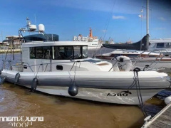 Paragon Yachts 31