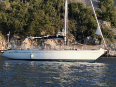 Orca 43