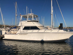 Tiara 43