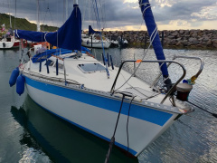 Alo Mikkel 26