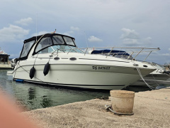 Sea Ray 260