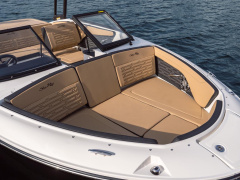 Sea Ray 190 SPN