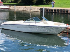 Sea Ray 195 BR