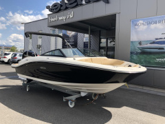 Sea Ray 210 SPOE