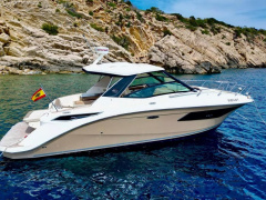 Sea Ray Sunduncer 320