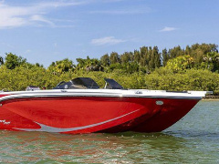 Bayliner M19