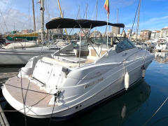 Four Winns V318