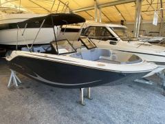 Bayliner ELEMENT M19