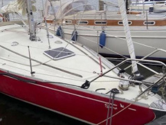 Albin Marine Scampi 30