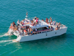 Cruise catamaran 73 passenger daily trip