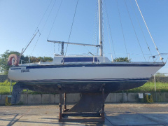 Jeanneau Poker