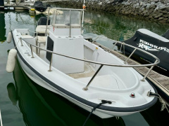 Boston Whaler Outrage 17