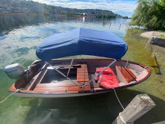 Fjord Ali Girl 15
