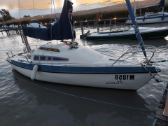 Conrad 20