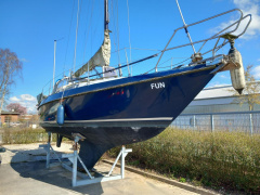 Neptun 31