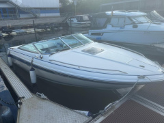 Sea Ray 200 OV