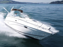 Rinker 250 Cruiser