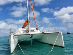 Dufour Catamarans NAUTITECH 395