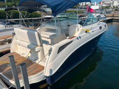 Sea Ray 2550Sundancer