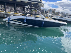 Scarab 255 Platinum