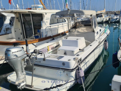 Royal Yacht Group Harpoon 255 Walkaround