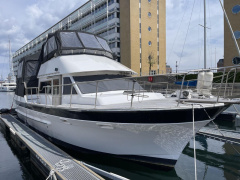 Tarquin Trader 41