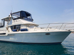 Carver 355