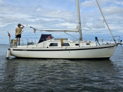 De Kloet Fellowship 28