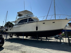 Bertram Yacht Bertram 46.6