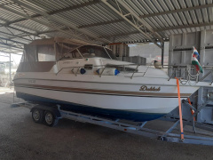 Drago 26