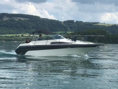 Sea Ray Sundancer 250 DA