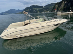 Sea Ray 230 OV