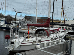 Reinke Hydra