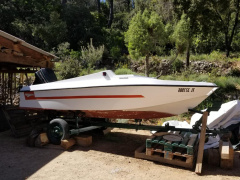 Cormorant Fury 425