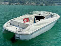 Wellcraft 18 SL Daycruiser