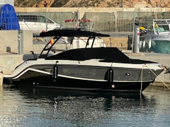 Sea Ray 250 SLX