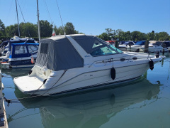 Sea Ray 290