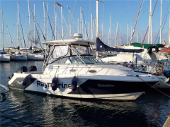 ROBALO 295