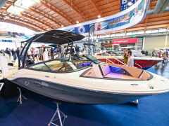 Sea Ray 190 SPN