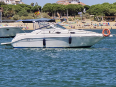 Sea Ray 250 SUNDANCER