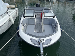 Bayliner M19