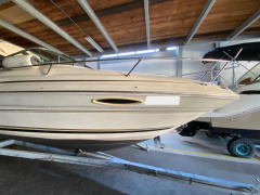 Sea Ray 215 EC