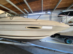 Sea Ray 215 EC