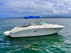 Sea Ray 225 Weekender