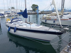Gladiateur 33