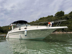 Sea Ray 270 Sundancer