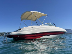 Sea Ray 200 sd