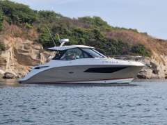 Sea Ray Sundancer 320