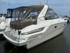 Bavaria Sport 31